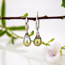 Load image into Gallery viewer, READY TO SHIP Civa Fiji Pearl Earrings - 925 Sterling Silver FJD$