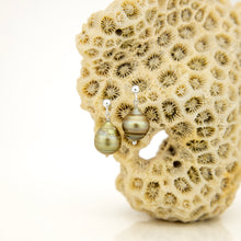 Load image into Gallery viewer, READY TO SHIP Civa Fiji Pearl Stud Earrings - 925 Sterling Silver FJD$