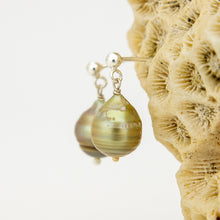 Load image into Gallery viewer, READY TO SHIP Civa Fiji Pearl Stud Earrings - 925 Sterling Silver FJD$