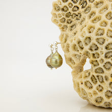 Load image into Gallery viewer, READY TO SHIP Civa Fiji Pearl Stud Earrings - 925 Sterling Silver FJD$