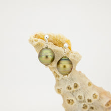 Load image into Gallery viewer, READY TO SHIP Civa Fiji Pearl Stud Earrings - 925 Sterling Silver FJD$