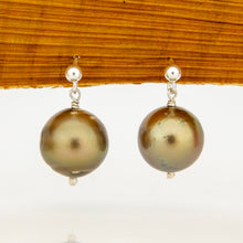Load image into Gallery viewer, READY TO SHIP Civa Fiji Pearl Stud Earrings - 925 Sterling Silver FJD$