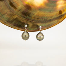 Load image into Gallery viewer, READY TO SHIP Civa Fiji Pearl Stud Earrings - 925 Sterling Silver FJD$
