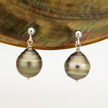 Load image into Gallery viewer, READY TO SHIP Civa Fiji Pearl Stud Earrings - 925 Sterling Silver FJD$