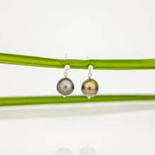 Load image into Gallery viewer, READY TO SHIP Civa Fiji Pearl Stud Earrings - 925 Sterling Silver FJD$