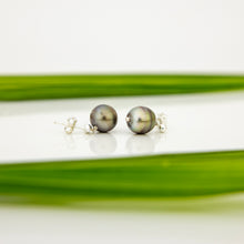 Load image into Gallery viewer, READY TO SHIP Civa Fiji Pearl Stud Earrings - 925 Sterling Silver FJD$