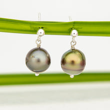 Load image into Gallery viewer, READY TO SHIP Civa Fiji Pearl Stud Earrings - 925 Sterling Silver FJD$
