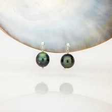 Load image into Gallery viewer, READY TO SHIP Civa Fiji Pearl Stud Earrings - 925 Sterling Silver FJD$