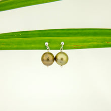 Load image into Gallery viewer, READY TO SHIP Civa Fiji Pearl Stud Earrings - 925 Sterling Silver FJD$
