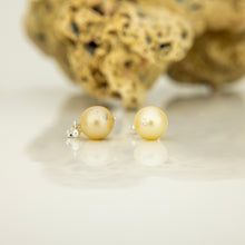 Load image into Gallery viewer, READY TO SHIP Civa Fiji Pearl Stud Earrings - 925 Sterling Silver FJD$