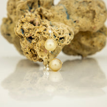 Load image into Gallery viewer, READY TO SHIP Civa Fiji Pearl Stud Earrings - 925 Sterling Silver FJD$