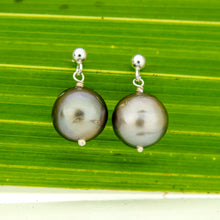 Load image into Gallery viewer, READY TO SHIP Civa Fiji Pearl Stud Earrings - 925 Sterling Silver FJD$