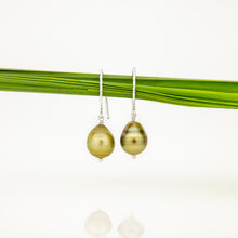 Load image into Gallery viewer, READY TO SHIP Civa Fiji Pearl Earrings - 925 Sterling Silver FJD$