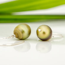 Load image into Gallery viewer, READY TO SHIP Civa Fiji Pearl Earrings - 925 Sterling Silver FJD$