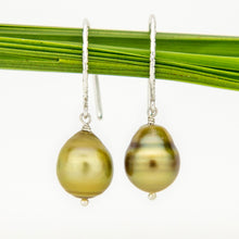 Load image into Gallery viewer, READY TO SHIP Civa Fiji Pearl Earrings - 925 Sterling Silver FJD$
