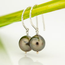 Load image into Gallery viewer, READY TO SHIP Civa Fiji Pearl Earrings - 925 Sterling Silver FJD$