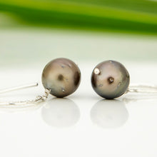 Load image into Gallery viewer, READY TO SHIP Civa Fiji Pearl Earrings - 925 Sterling Silver FJD$