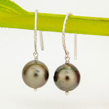 Load image into Gallery viewer, READY TO SHIP Civa Fiji Pearl Earrings - 925 Sterling Silver FJD$