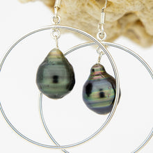 Load image into Gallery viewer, READY TO SHIP Civa Fiji Saltwater Pearl Hoop Earrings - 925 Sterling Silver FJD$