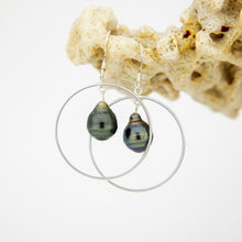Load image into Gallery viewer, READY TO SHIP Civa Fiji Saltwater Pearl Hoop Earrings - 925 Sterling Silver FJD$