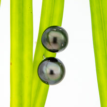 Load image into Gallery viewer, READY TO SHIP Civa Fiji Pearl Stud Earrings - 925 Sterling Silver FJD$