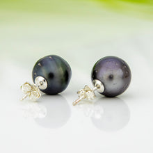Load image into Gallery viewer, READY TO SHIP Civa Fiji Pearl Stud Earrings - 925 Sterling Silver FJD$