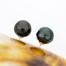 Load image into Gallery viewer, READY TO SHIP Civa Fiji Pearl Stud Earrings - 925 Sterling Silver FJD$