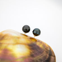 Load image into Gallery viewer, READY TO SHIP Civa Fiji Pearl Stud Earrings - 925 Sterling Silver FJD$