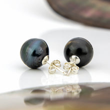 Load image into Gallery viewer, READY TO SHIP Civa Fiji Pearl Stud Earrings - 925 Sterling Silver FJD$