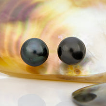 Load image into Gallery viewer, READY TO SHIP Civa Fiji Pearl Stud Earrings - 925 Sterling Silver FJD$