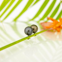 Load image into Gallery viewer, READY TO SHIP Civa Fiji Pearl Stud Earrings - 925 Sterling Silver FJD$