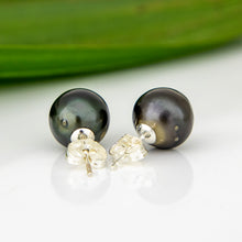 Load image into Gallery viewer, READY TO SHIP Civa Fiji Pearl Stud Earrings - 925 Sterling Silver FJD$