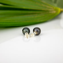 Load image into Gallery viewer, READY TO SHIP Civa Fiji Pearl Stud Earrings - 925 Sterling Silver FJD$