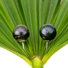 Load image into Gallery viewer, READY TO SHIP Civa Fiji Pearl Stud Earrings - 925 Sterling Silver FJD$