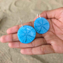 Load image into Gallery viewer, READY TO SHIP Starfish Resin Earrings - 925 Sterling Silver FJD$