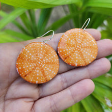 Load image into Gallery viewer, READY TO SHIP Starfish Resin Earrings - 925 Sterling Silver FJD$