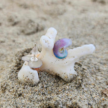 Load image into Gallery viewer, READY TO SHIP Nautilus Shell Stud Earrings - 925 Sterling Silver FJD$