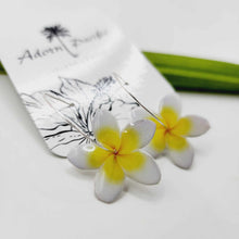 Load image into Gallery viewer, READY TO SHIP Frangipani Flower Hoop Earrings - 925 Sterling Silver FJD$