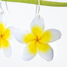 Load image into Gallery viewer, READY TO SHIP Frangipani Flower Earrings - 925 Sterling Silver FJD$