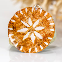 Load image into Gallery viewer, READY TO SHIP Pasifika Resin Earrings - 925 Sterling Silver FJD$