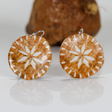 Load image into Gallery viewer, READY TO SHIP Pasifika Resin Earrings - 925 Sterling Silver FJD$