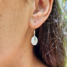 Load image into Gallery viewer, READY TO SHIP Shell Money Earrings - 925 Sterling Silver FJD$