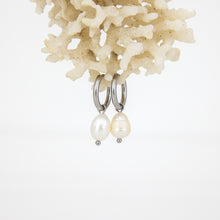 Load image into Gallery viewer, READY TO SHIP Freshwater Pearl Hoop Earrings - Stainless Steel FJD$