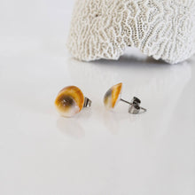 Load image into Gallery viewer, Shell Stud Earrings - Stainless Steel FJD$