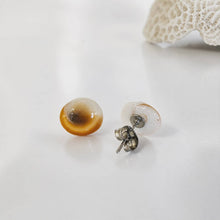 Load image into Gallery viewer, Shell Stud Earrings - Stainless Steel FJD$
