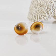 Load image into Gallery viewer, Shell Stud Earrings - Stainless Steel FJD$