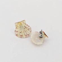 Load image into Gallery viewer, Shell Stud Earrings - Stainless Steel FJD$