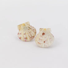 Load image into Gallery viewer, Shell Stud Earrings - Stainless Steel FJD$