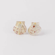 Load image into Gallery viewer, Shell Stud Earrings - Stainless Steel FJD$