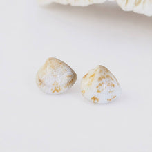 Load image into Gallery viewer, Shell Stud Earrings - Stainless Steel FJD$